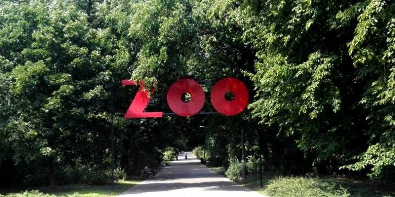 ZOO-790x395